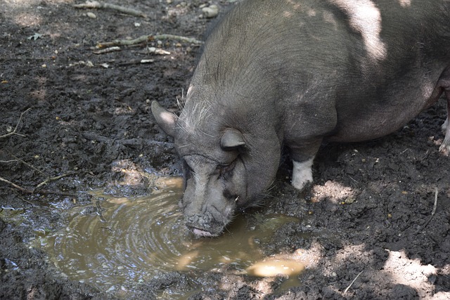 运动与教育 运动与教育